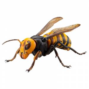 REVOGEO Japanese Giant Hornet [Kaiyodo]