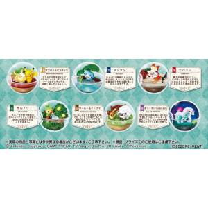 Pokemon Terrarium Collection EX Galar Region Part 6 Pack BOX [Goods]