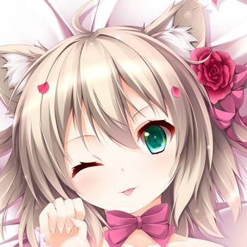 Dakimakura Cover White cat original Limited Edition Niro [Goods]
