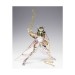 Saint Seiya Cloth Myth - Andromeda Shun God Cloth V4