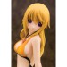 IS Infinite Stratos - Charlotte Dunois Swimwear Ver. [Alphamax]