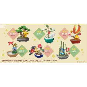 Pokemon - Pokémon Pocket BONSAI 6Pack BOX CANDY TOY [Rement]