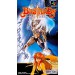 Bastard!! - Ankoku no Hakaishin [SFC - Used Good Condition]