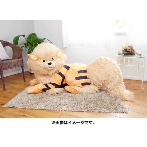 Pokemon - Arcanine (Windie) - Bed Sharing LIMITED EDITION [Plush Toy]