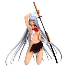 Ikkitousen Dragon Destiny - Shiryu Choun Damaged Uniform ver. [Griffon Enterprises]