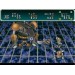 Star Ocean [SFC - used]