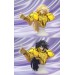 Saint Seiya Myth Cloth Appendix - Saga des Gemeaux OCE [Édition Limitée]