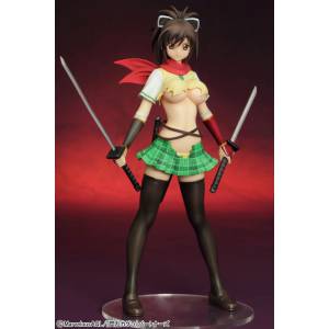 Senran Kagura - Asuka -Damage ver [Griffon Enterprises]