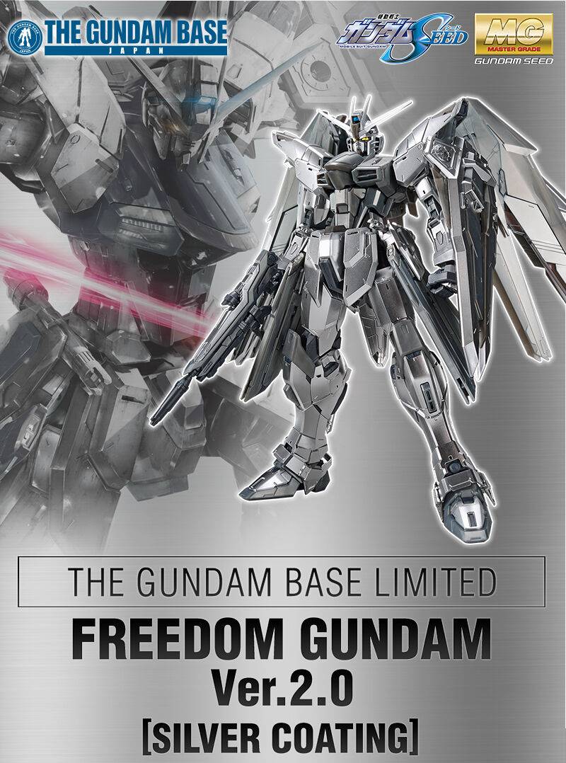 MG 1/100: Mobile Suit Gundam - ZGMF-X20A Strike Freedom Gundam Ver