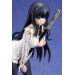   Senran Kagura - Ikaruga [Chara-ani]