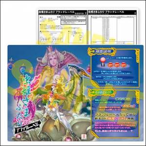 Mushihimesama Futari Black Label - Instruction Card A4