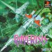 RayCrisis [PS1 - Used Good Condition]