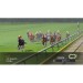   Winning Post 8 - standard edition [PSVita]