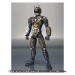   Alternative - Limited Edition [SH figuarts]