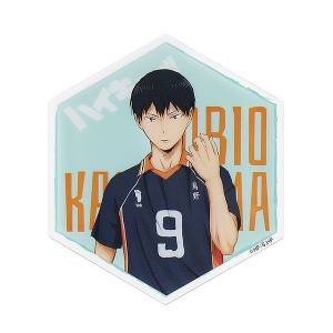 Haikyuu!!: Acrylic Magnet - Tobio Kageyama [GoodSmile Moment]