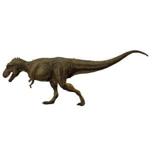 Dinosaur: Tyrannosaurus - Type B (Medium Soft Vinyl Kit) [Kaiyodo]
