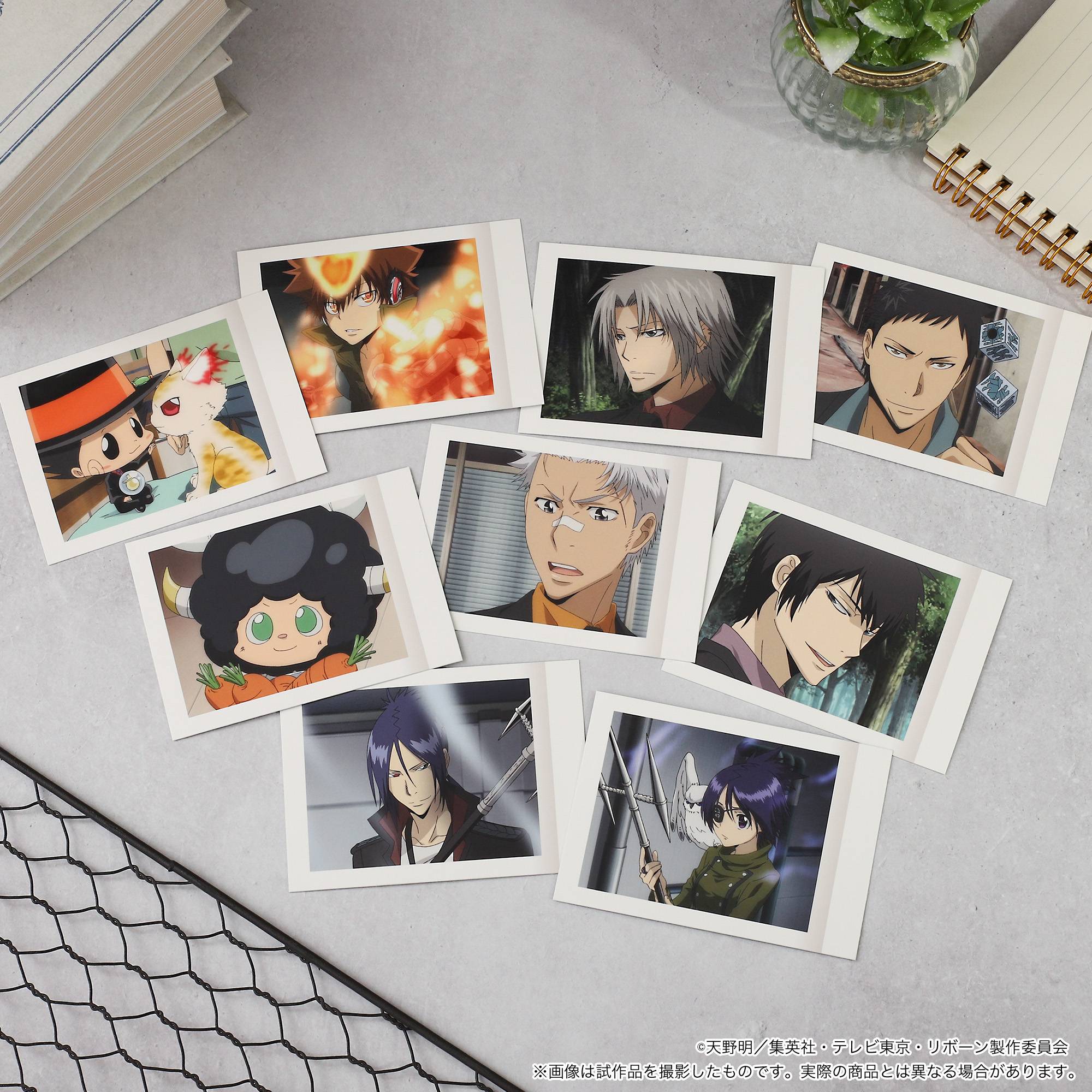 Reborn!: Pashakore Trading Cards (Box of 10 Packs) [Movic]