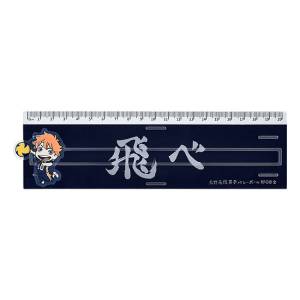 Haikyuu!!: Banner Ruler - Shoyo Hinata [GoodSmile Moment]