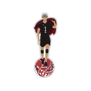 Haikyu!!: Acrylic Stand - Shinsuke Kita [Ensky]