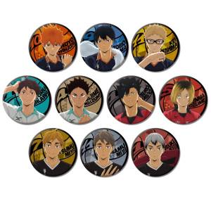 Haikyuu!!: Glitter Can Badge Collection (Box of 10) [Ensky]