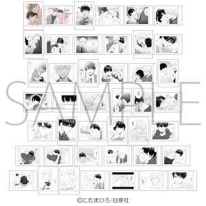 Hakuensha: After Midnight Skin - Pashakore (10 Packs/Box) [Movic]