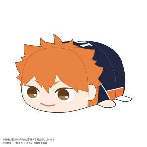 Haikyu!!: Potekoro Mascot BIG - Hinata Shoyo [Max Limited]