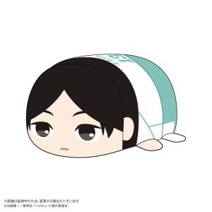 Haikyu!!: Potekoro Mascot BIG - Hide Kunimi [Max Limited]
