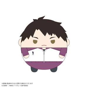 Haikyu!!: Fuwa Kororin M Size Vol.9 - Wakatoshi Ushijima [Max Limited]