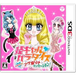 Hime Girl Paradise - Mechikawa! Age Sakari Sensation! [3DS - Occasion BE]