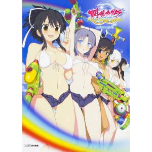 Senran Kagura PEACH BEACH SPLASH official illustration collection [Artbook - Used Good Condition]