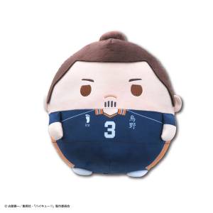 Haikyu!!: Fuwa Kororin BIG Vol.3 - Daichi Sawamura [Max Limited]
