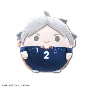 Haikyu!!: Fuwa Kororin M Size Vol.3 - Koshi Sugawara [Max Limited]