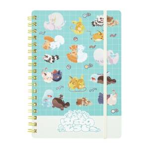Pokémon: Two Of A Kind - B6 Ring Notebook (Limited Edition) [The Pokémon Company]