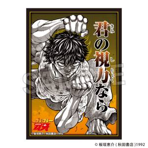 Baki: Card Sleeves NT - Baki Hanma (Triceratops Fist) (80 Sleeves) [PROOF]