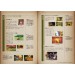 Hyrule Historia - Encyclopedia Of The Legend Of Zelda [Art-Book]