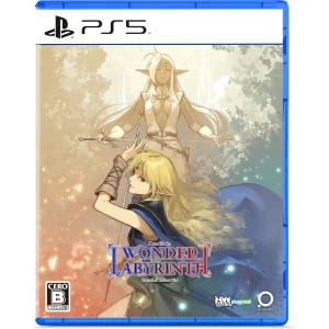 Record of Lodoss War: Deedlit in Wonder Labyrinth (Multi-Language) [PS5 - Usado Buen Estado]