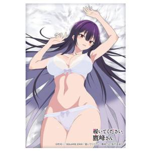 Please Put Them On, Takamine-san - Sleeve Collection High Grade Vol.4837 - Takamine (Underwear Ver.) (75 Sleeves) [Bushiroad]