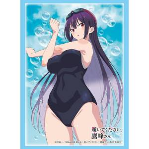 Please Put Them On, Takamine-san - Sleeve Collection High Grade Vol.4838 - Takamine (Swimsuit Ver.) (75 Sleeves) [Bushiroad]