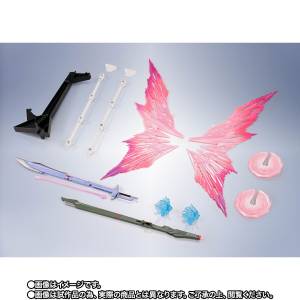 METAL ROBOT SPIRITS Side MS: Destiny Gundam [Re:Coordinate] Wings of Light & Effect Set (Limited Edition) [Bandai Spirits]