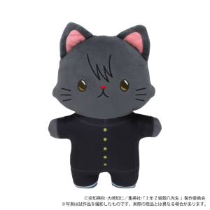 3rd Year Z-Class Ginpachi Sensei: Plush Toy - Kotaro Katsura (Cat w/ Eye Mask Ver.) [Movic]