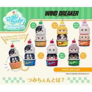 Tsumichen: WIND BREAKER - Mini Figure Collection (Limited + Bonus) [MegaHouse]