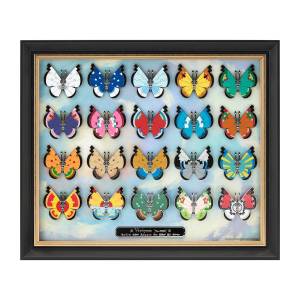 Pokémon: Vivillon Pin Collection (20 Packs Box) [The Pokémon Company]