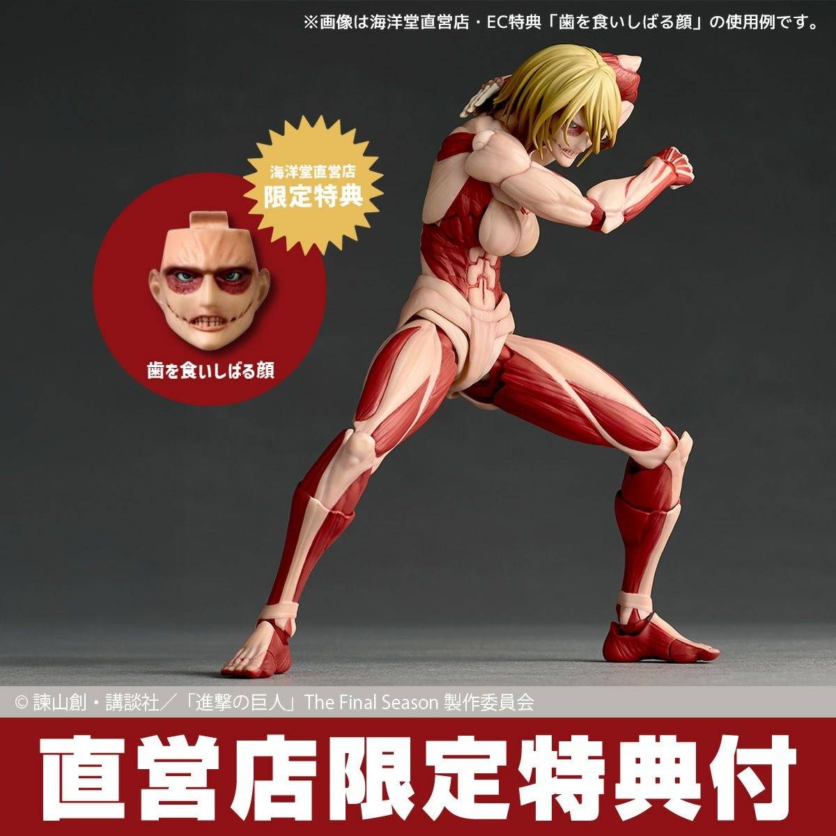 Amazing Yamaguchi / Revoltech: Attack on Titan - Female Titan