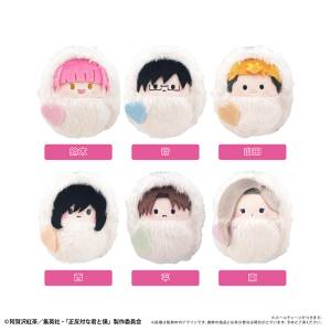 You and I Are Polar Opposites: Kurumi Tapinui Plush Mascot Collection Vol.2 (6 Packs / Box) [Tapioca]
