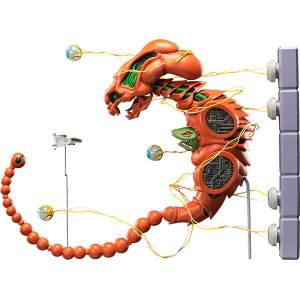 Figma: R-TYPE - Dobkeratops (Reissue) [FREEing]