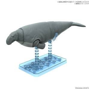 Plannosaurus: Steller's Sea Cow - Plastic Model [Bandai Spirits]