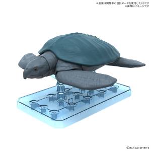 Plannosaurus: Archelon - Plastic Model [Bandai Spirits]