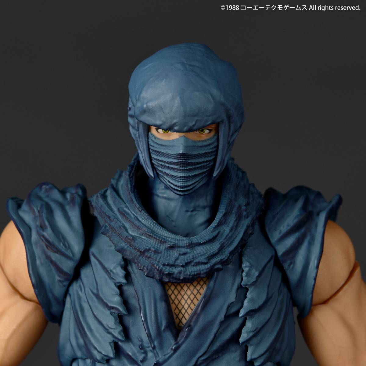 Amazing Yamaguchi / Revoltech: Ninja Gaiden - Ryu Hayabusa