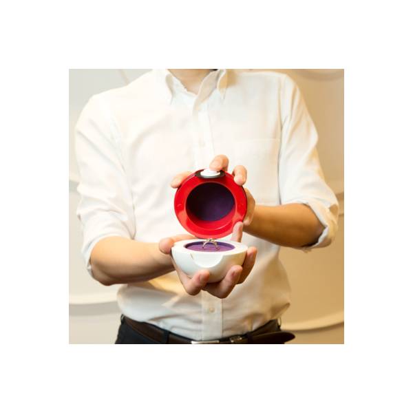 Pokémon: Pokéball Accessory Case (Limited Edition) [U-Treasue] - Nin ...