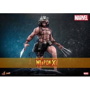 MARVEL X-Men: Wolverine Weapon X 1/6 - Comic Masterpiece [Hot Toys]
